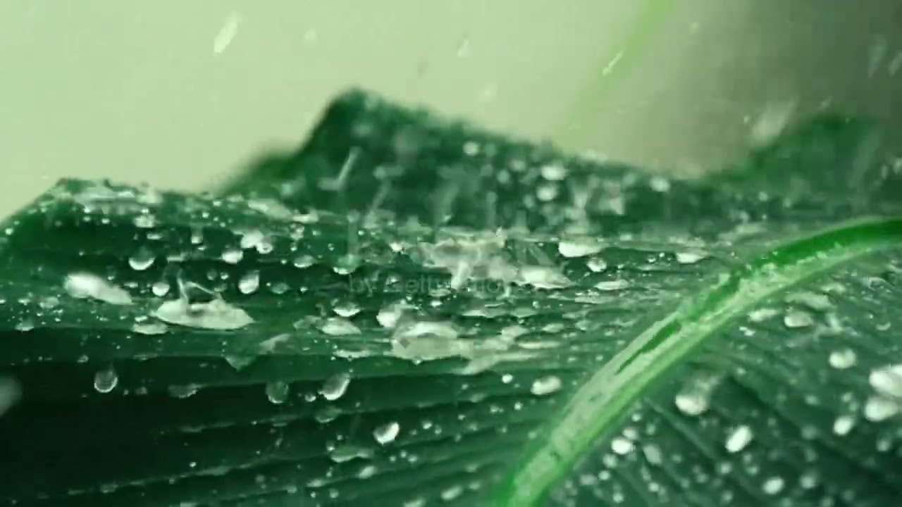 Thunderstorm with Heavy rain Sounds