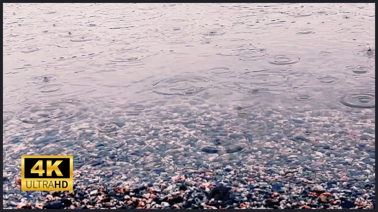 Relaxing Rain Sounds | Natural White Noise for Studying, Sleeping & Stress Relief #nature #relax