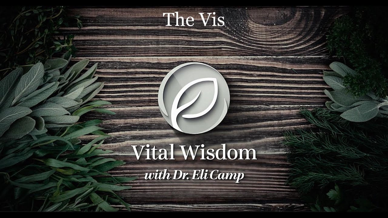 Strengthening the Vis: Signs of Vitality in Daily Health