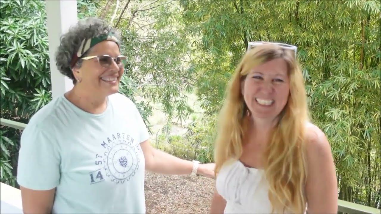 Relaxing Day in Cidra and Cayey Puerto Rico: Rio La Plata, Butterflies, Tortoises and More!