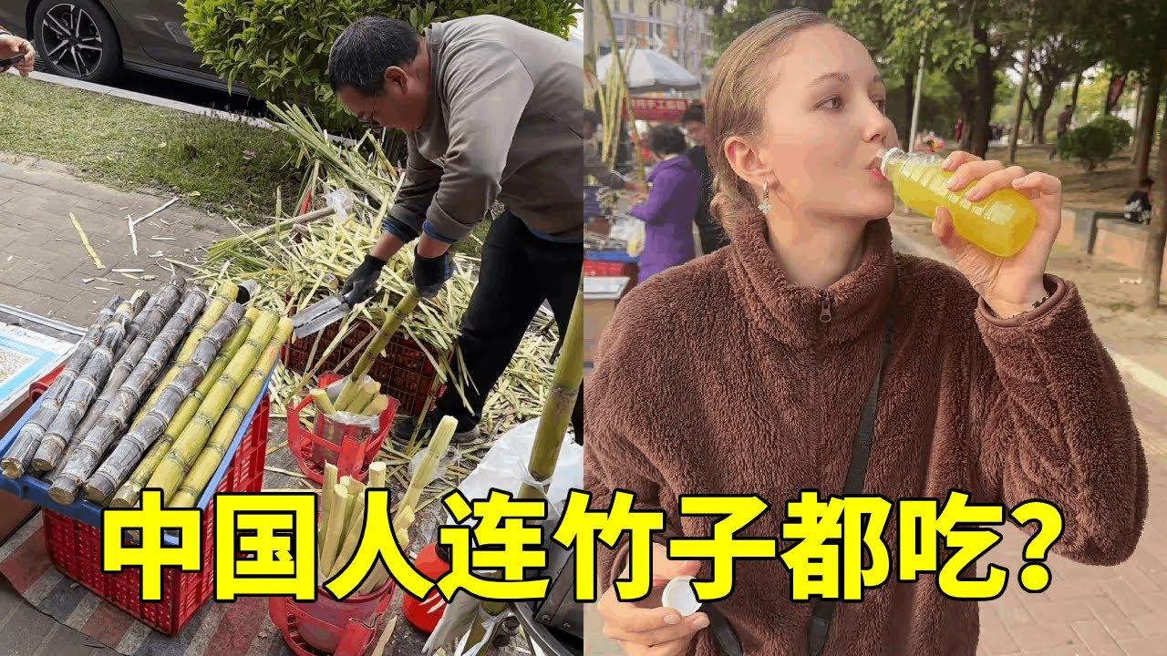 中国人连竹子都要榨汁喝？俄罗斯媳妇第一次见甘蔗，还以为这是竹子【李新和索菲亚】