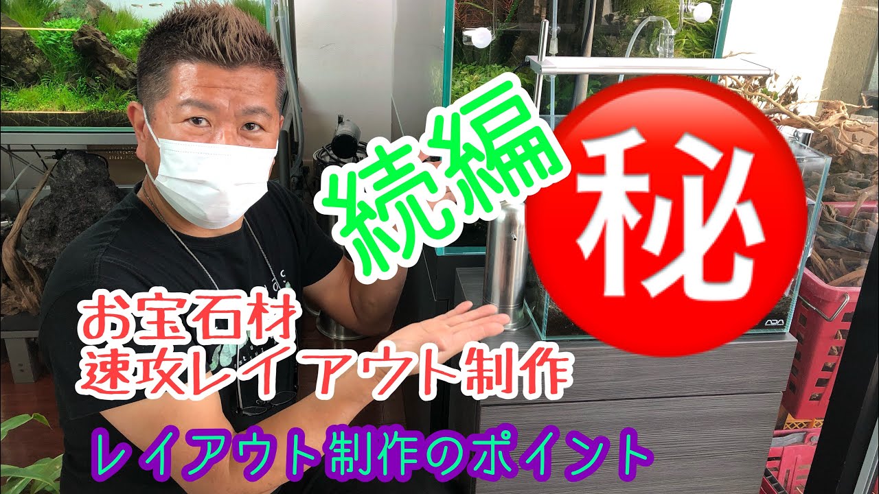 36㎝水槽　お宝素材で速攻レイアウト制作　続編　☆Official☆　AquaRevue Neo CH