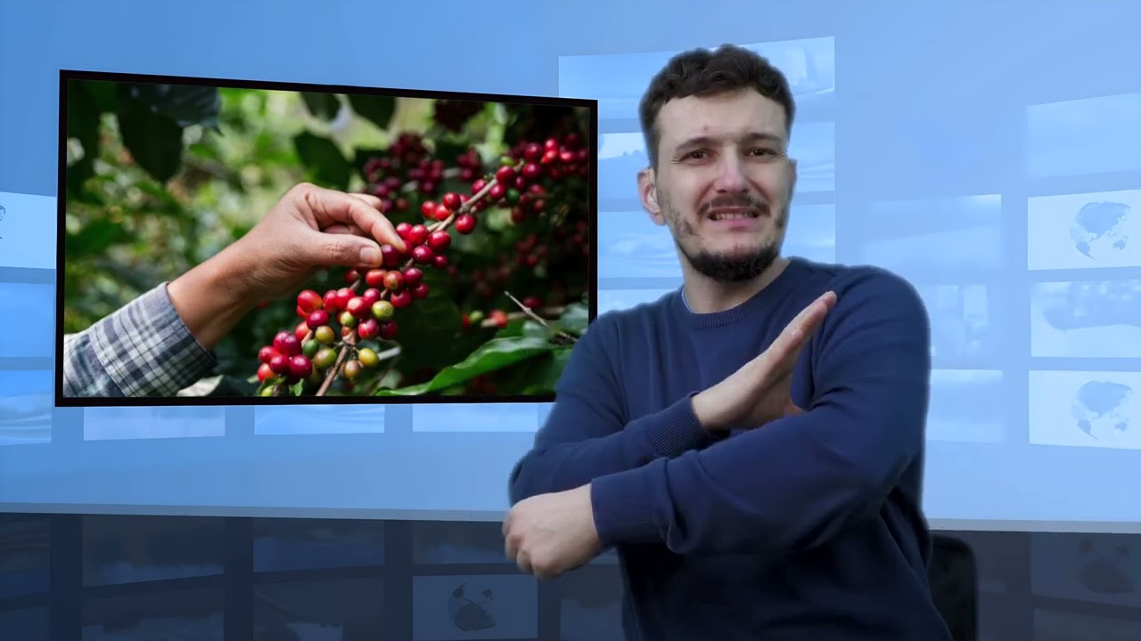 Kawa ma właściwości zdrowotne? (Tłumaczenie na Język Migowy - PJM)