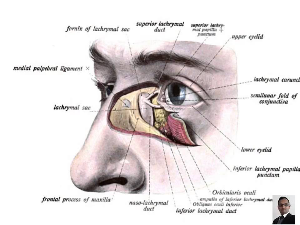 Endonasal DCR   Endoscopic DCR