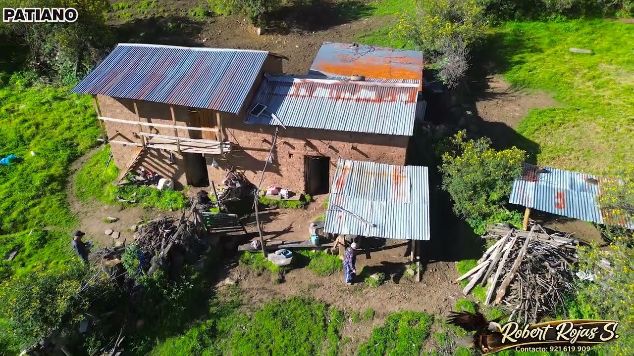 KUNTURCHA AQCHICHA WAKA TAKI 2026- ROBERT ROJAS SERRANO