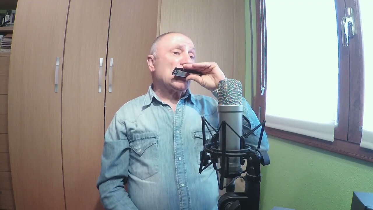 NUNCA TE CASES CON UN FERROVIARIO-Shocking Blue-Never Marry a Railroad Man-armónica harmonica (2025)