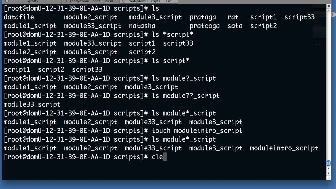 Linux bash wildcard basics