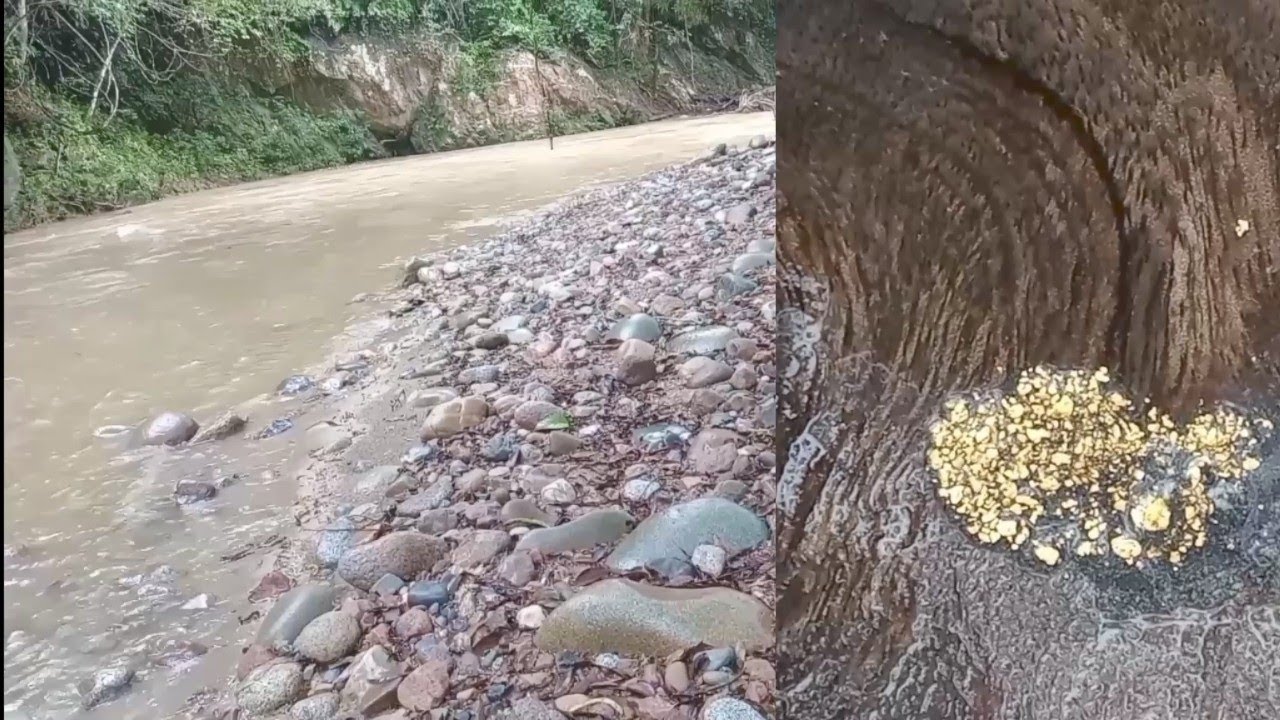 Es verdad que en la curva de un río hay oro?✨🤔