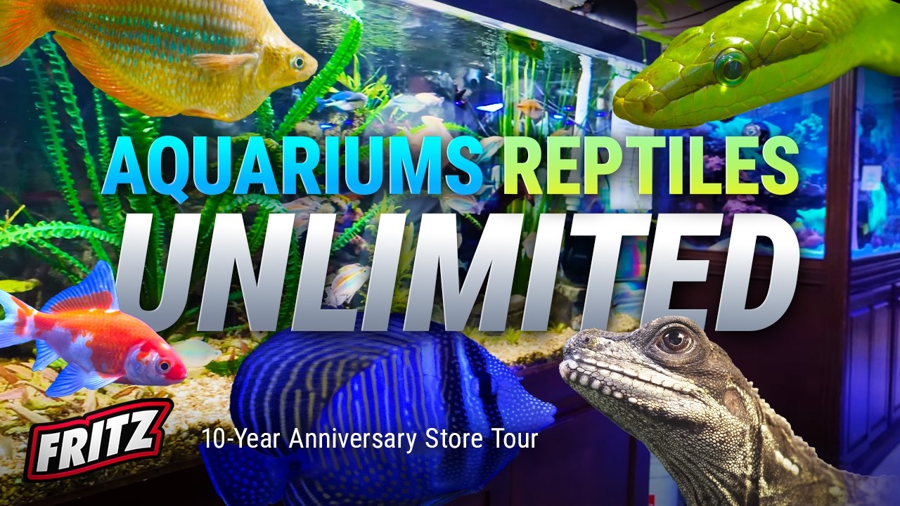 One of THE BIGGEST Fish Stores JUST Got Bigger!