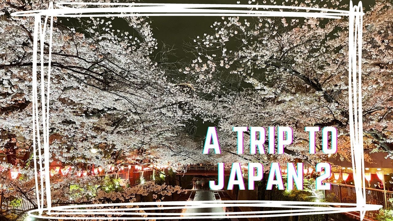 A trip to Japan 2 | 2023 | 東京 | 箱根 | 大阪 | Tokyo | Hakone | Osaka