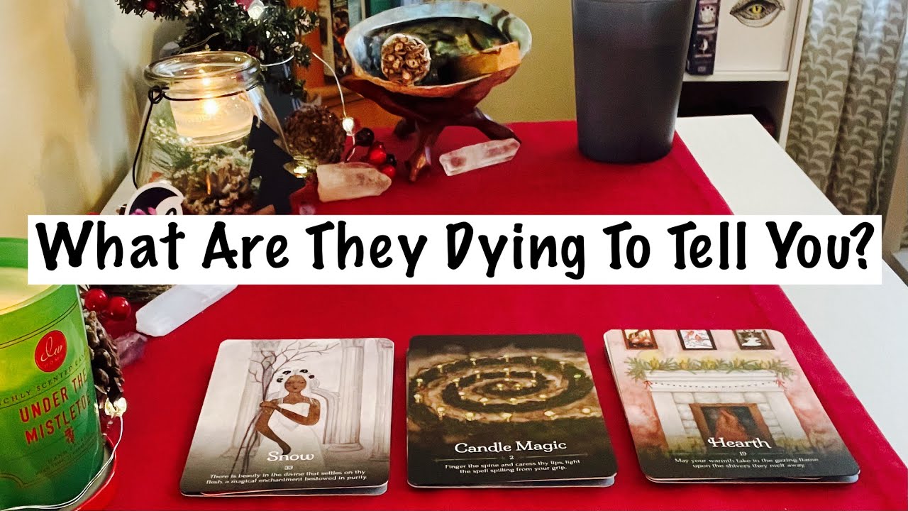 Pick A Card. What Is Your Person Dying To Tell You? Timeless Love Reading. 💞💞