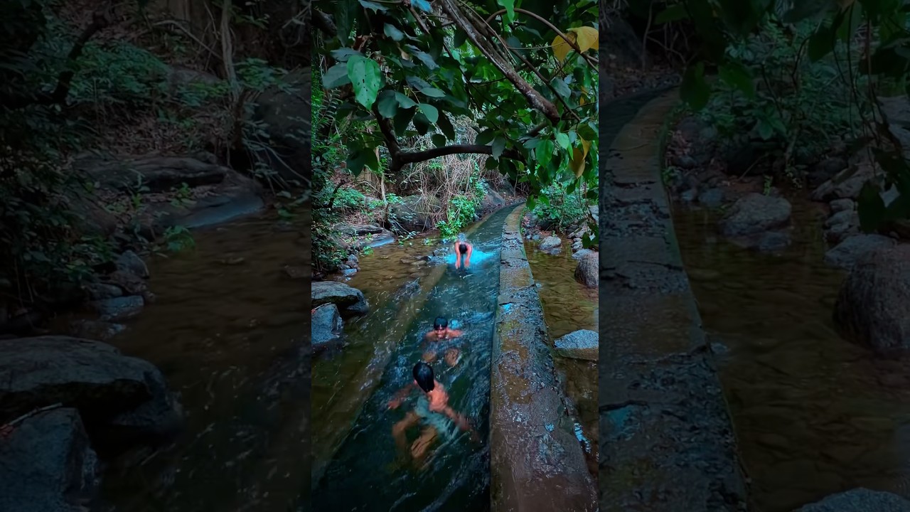 Monsoon Days in Kerala #shortsvideo #monsoon #trending