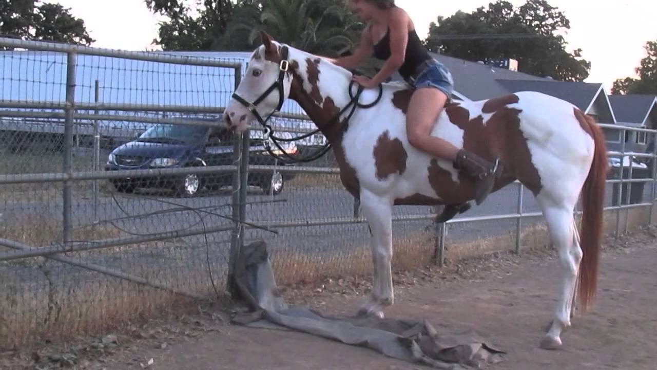 Dixie - First Time Cantering Bareback