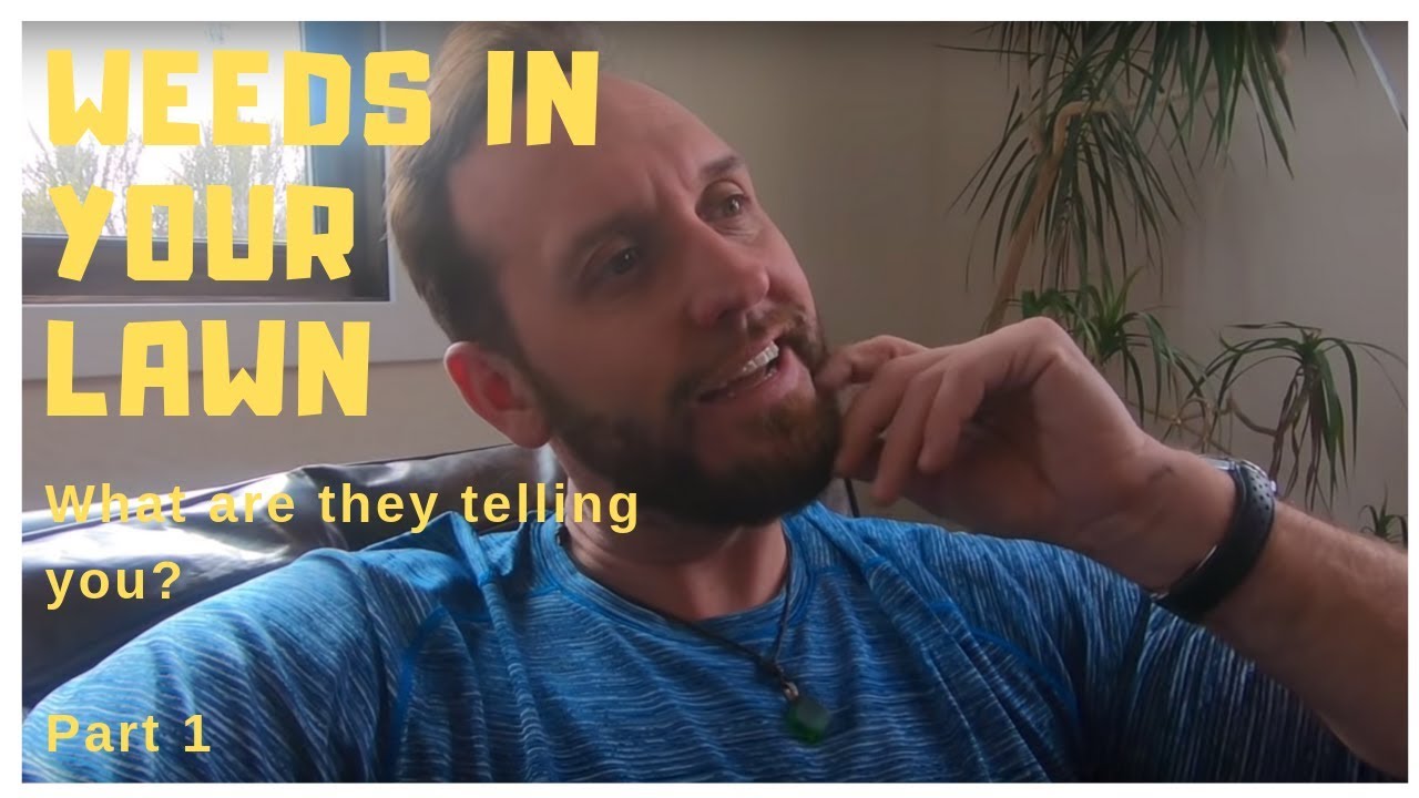 Weeds in lawn. What are they telling you? Indicators for soil health. Weed Series 1