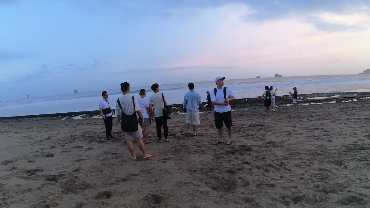 JCI EJ Turtle Release & Planting Mangroove 12 Jul 2025 Banyuwangi