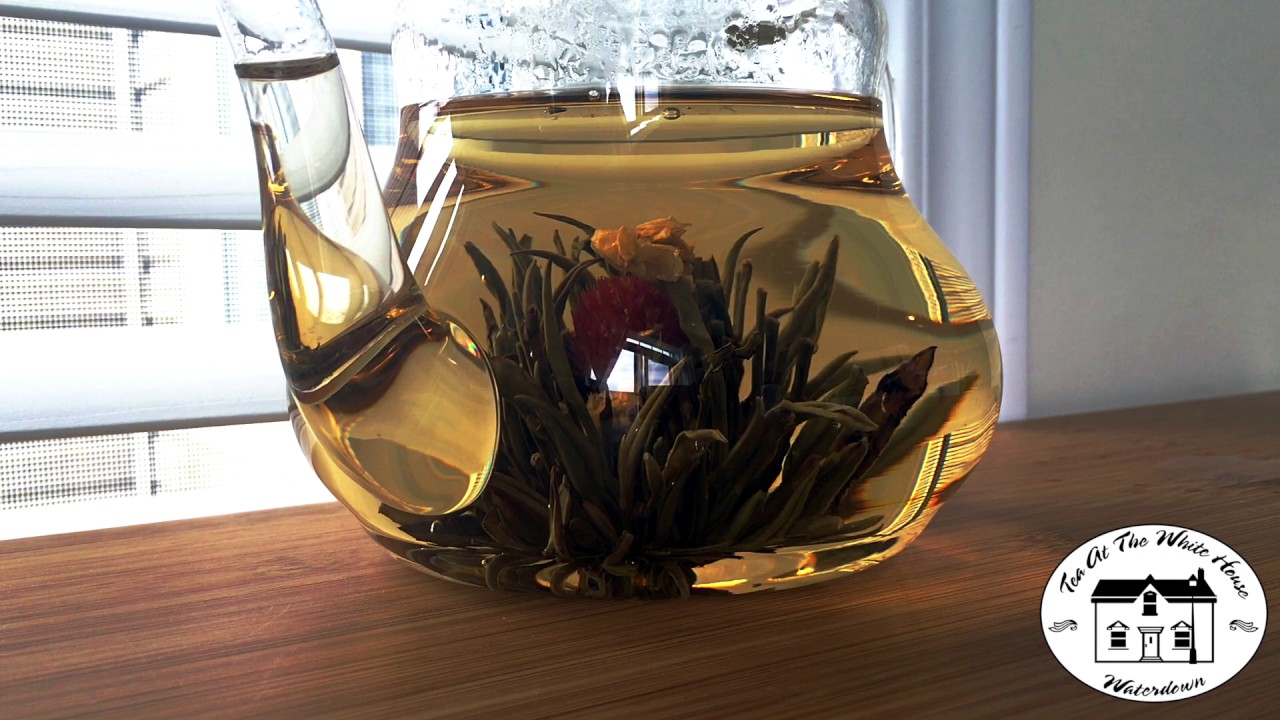 Jasmine Sanctuary Blooming Tea Ball
