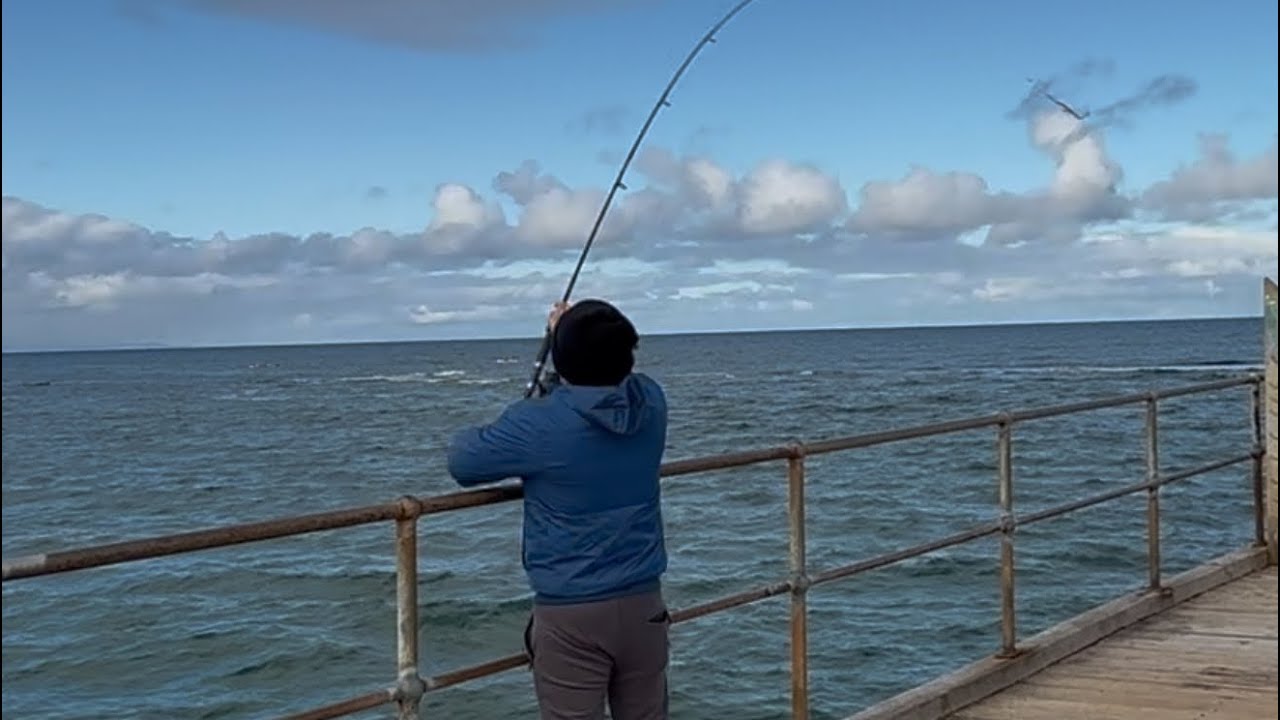 Fishing at Noarlunga Jetty Adelaide #fypシ #travel #fishing #adelaide 
