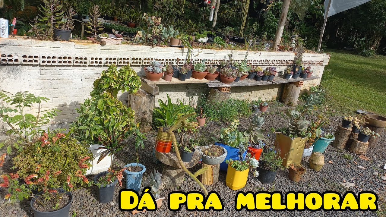 Uma nova organização de espaço ~dessa vez arranjo com suculentas 