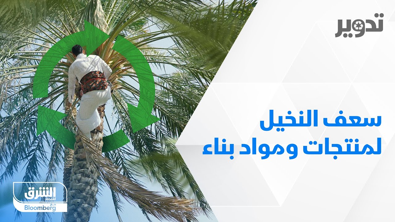 السعودية | سعف النخيل لمنتجات ومواد بناء - تدوير