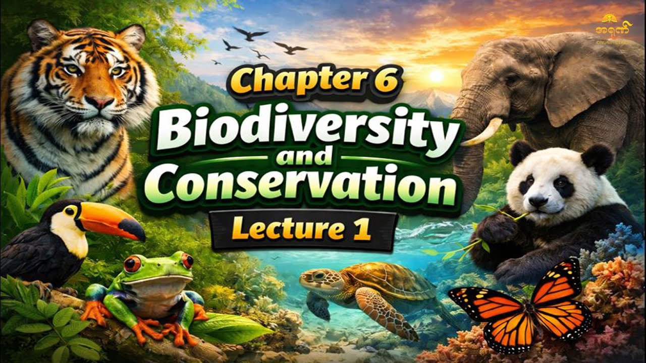 Grade 12 Biology Chapter 6 Lecture 1