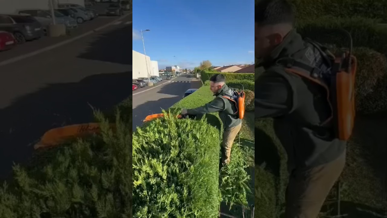 Extremely Satisfying Edges #shorts #shortsfeed  #lawncare #asmr #landscape
