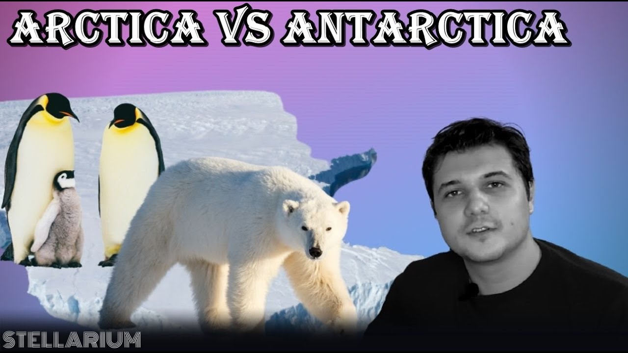 Diferentele dintre  Polul Nord si Polul Sud explicate