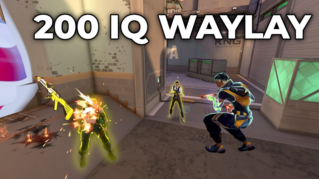Thinking like an Immortal Waylay