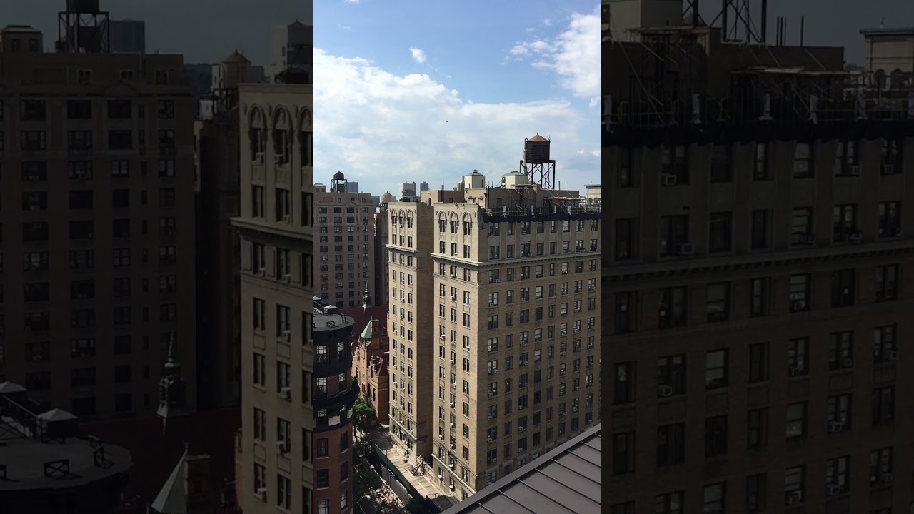 ARTHOUSE HOTEL NEW YORK CITY