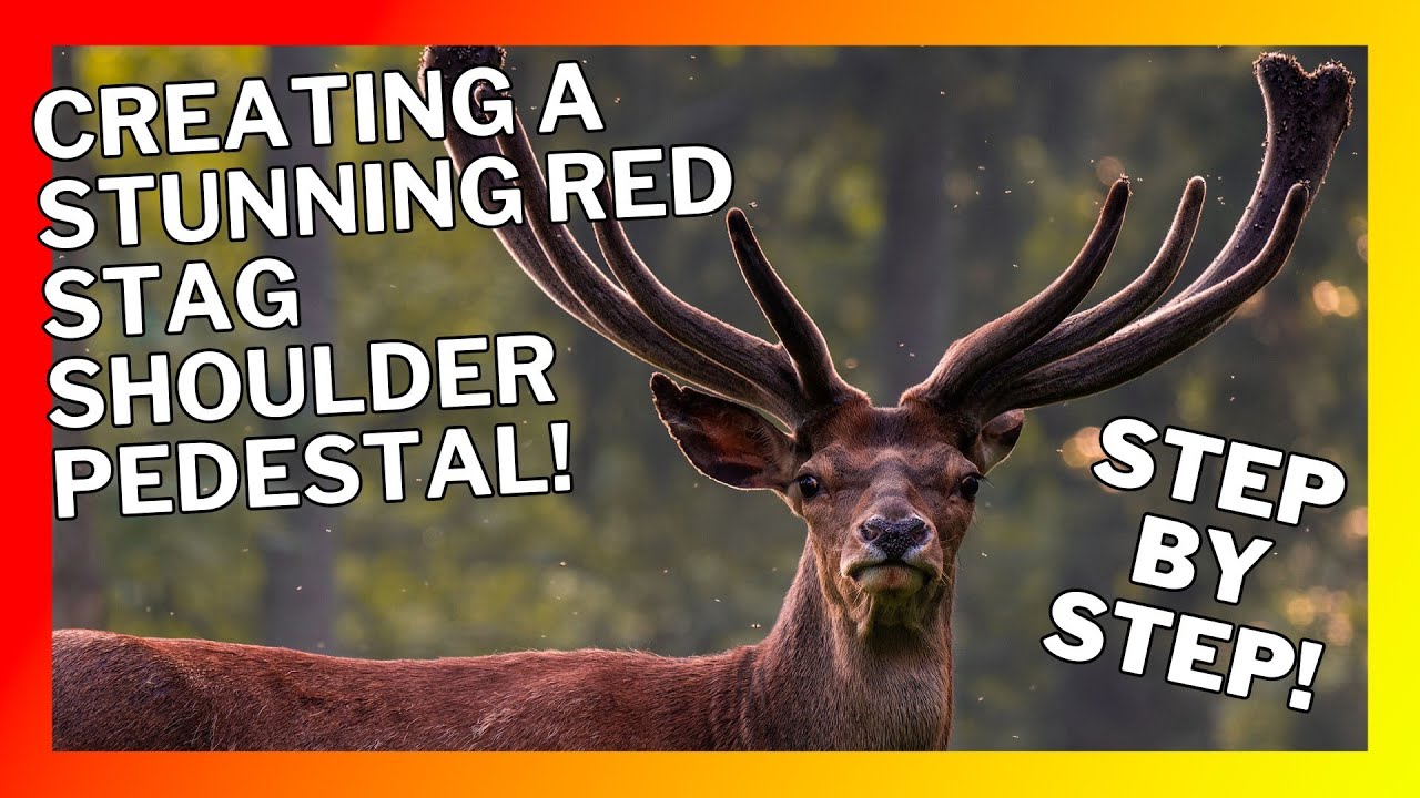 Creating A Stunning Red Stag Shoulder Pedestal: Step-by-Step!