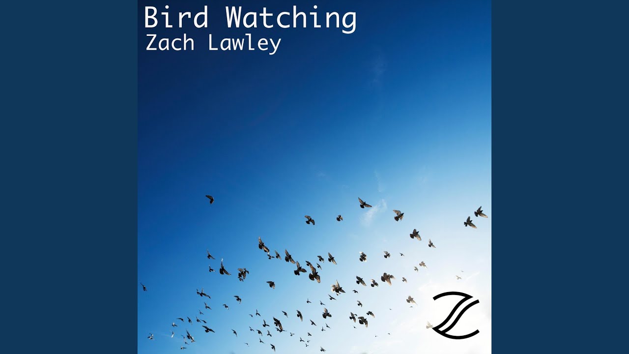 Bird Watching