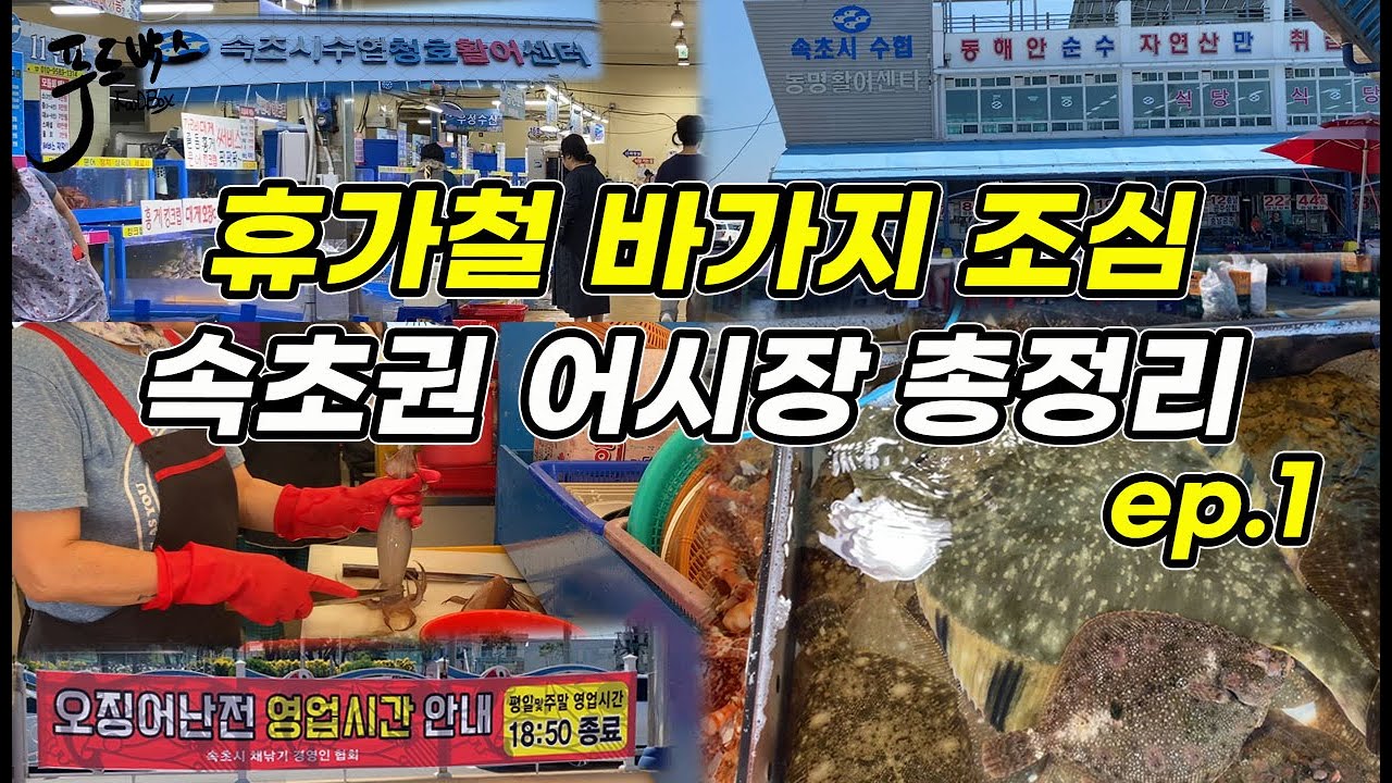 [휴가지점검] 눈탱이 방지..