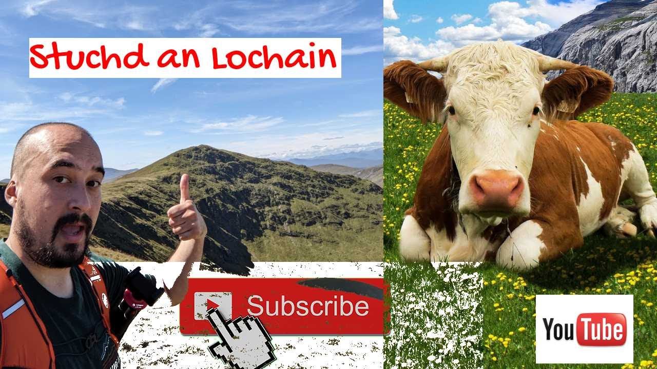 Stuchd an Lochain and the Mountain Coo's