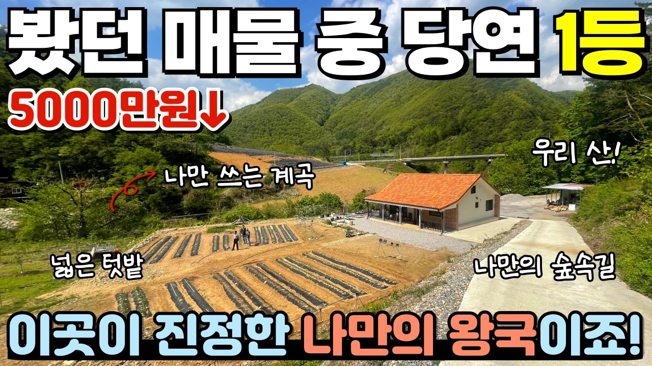 [364] 🚨급매/반값🚨 5000만원 한번 더 인하! 진정한 나만의 왕국! / 나홀로 쓰는 계곡도 있는데 이 가격? / 강원특별자치도 영월군 산솔면 전원주택 매매