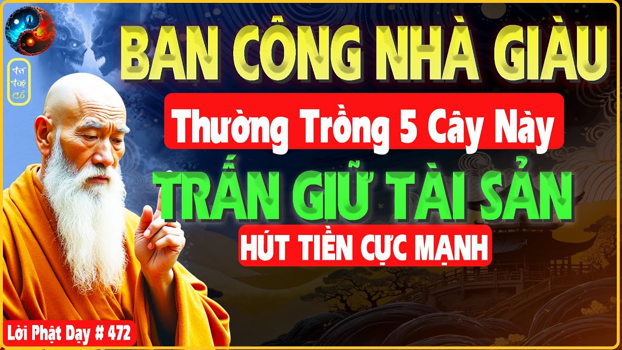 BAN CÔNG NHÀ GIÀU THƯỜNG TRỒNG 5 LOẠI CÂY NÀY HÚT TIỀN CỰC MẠNH - TRÍ TUỆ CỔ