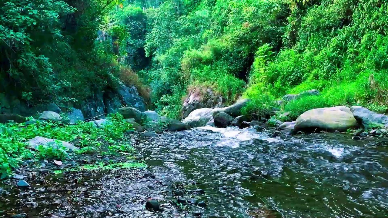 Nature White Noise for Emotional Balance, Anxiety Relief, Focus