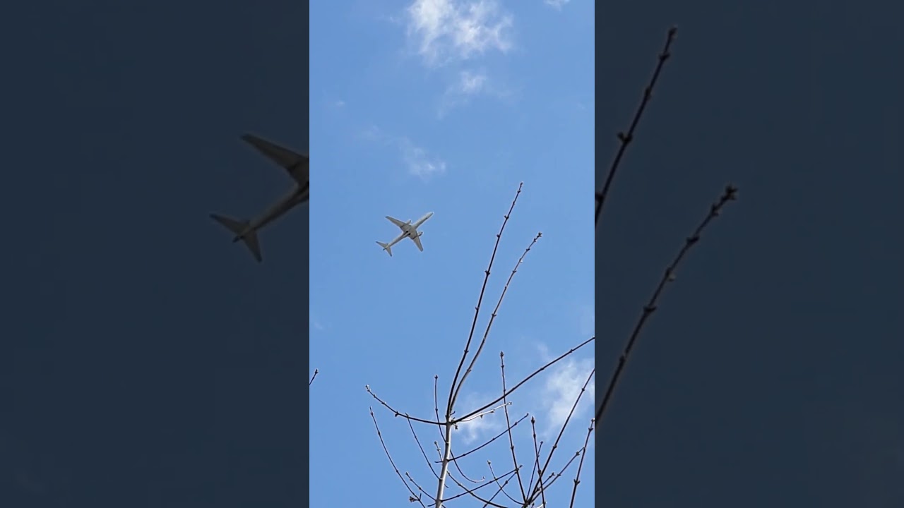 ✈️  A beautiful plane in a beautiful sky. Shorts 23