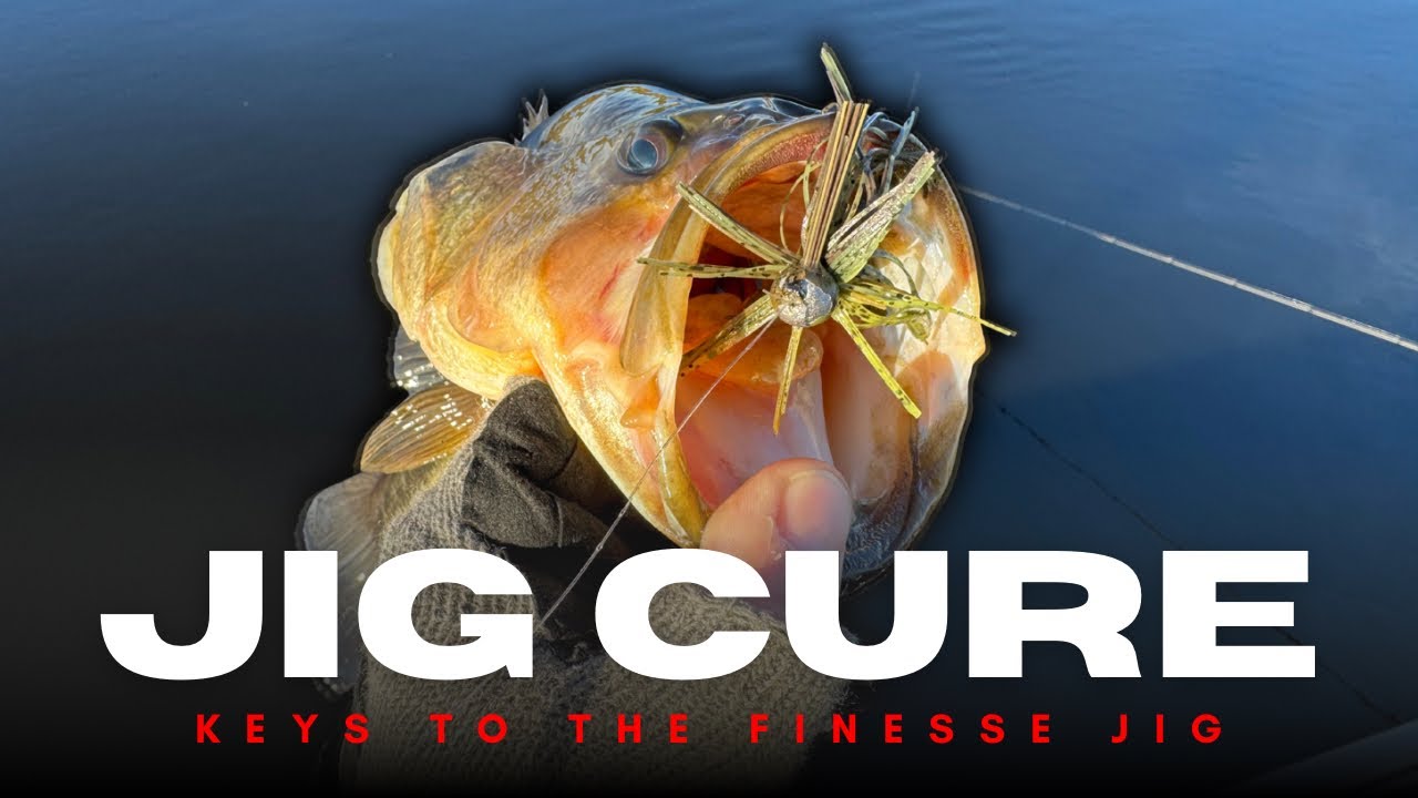 Finesse Jig — лекарство от всех ваших проблем!