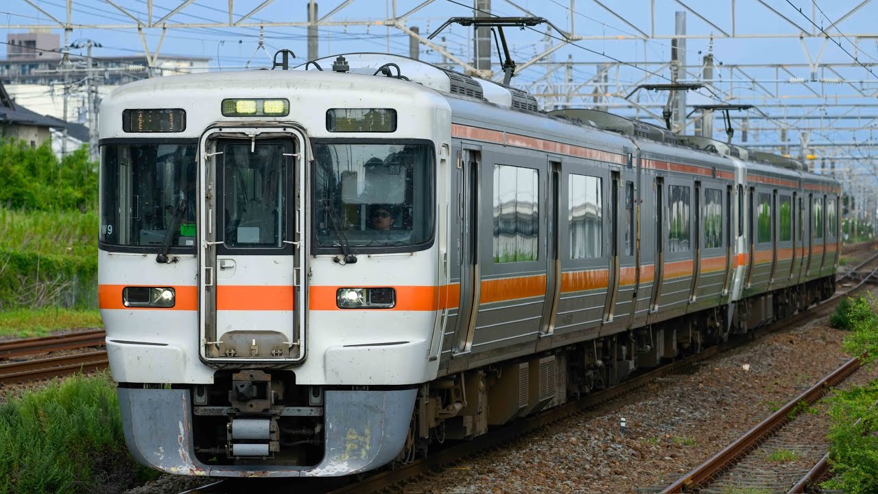 【増結運用多】2+2両で駆ける！313系W編成（2300・2350番台）走行集