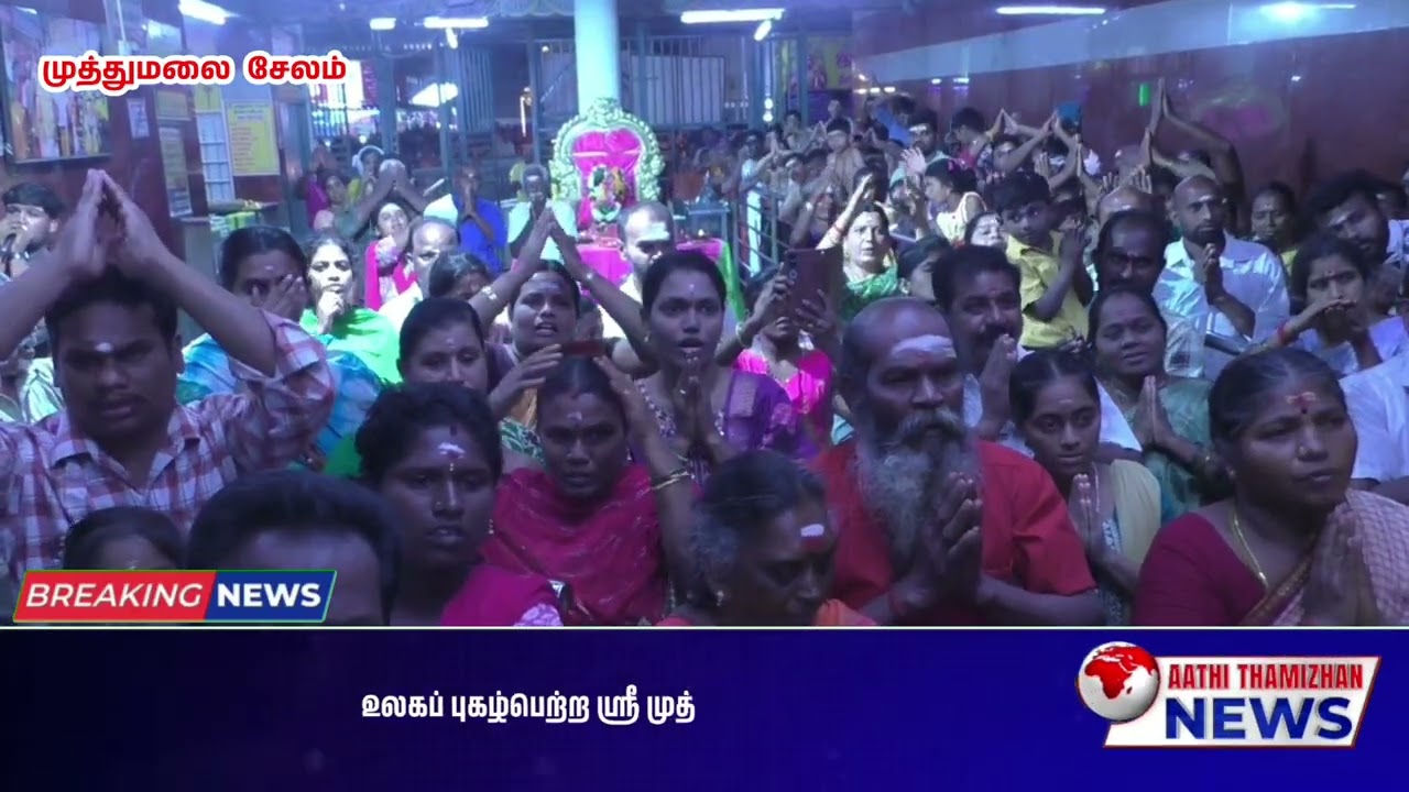 ஸ்ரீ முத்துமலை முருகன் கோவிலில் கார்த்திகை மாத சஷ்டியில் தங்கத்தில் இழுக்கப்பட்டது