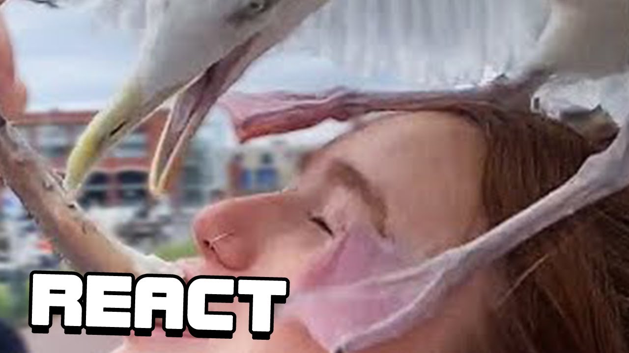 React: UNUSUAL MEMES COMPILATION V209
