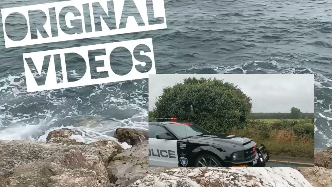 Cannonball Polizei Champion Ireland 2022