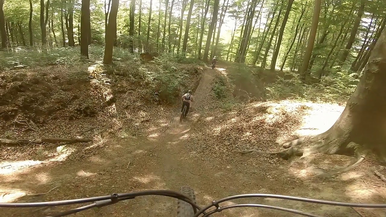 Die Trails am Grünen See unsicher machen