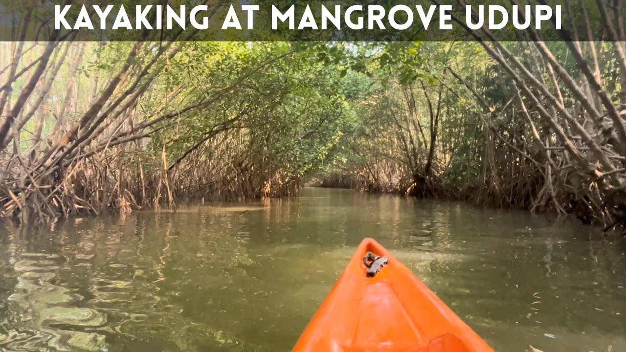 Kayaking at Udupi Mangrove | Peaceful Nature Ride Through Backwaters | vinusvlog4u