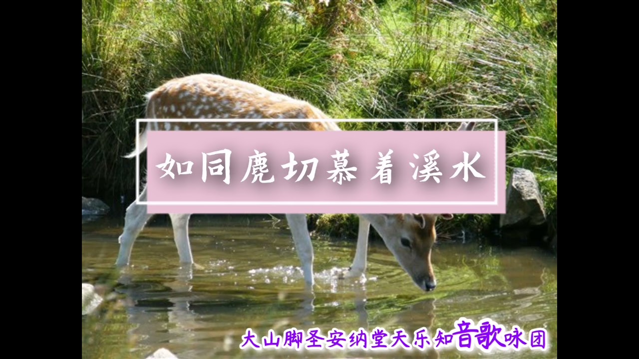 如同鹿切慕着溪水