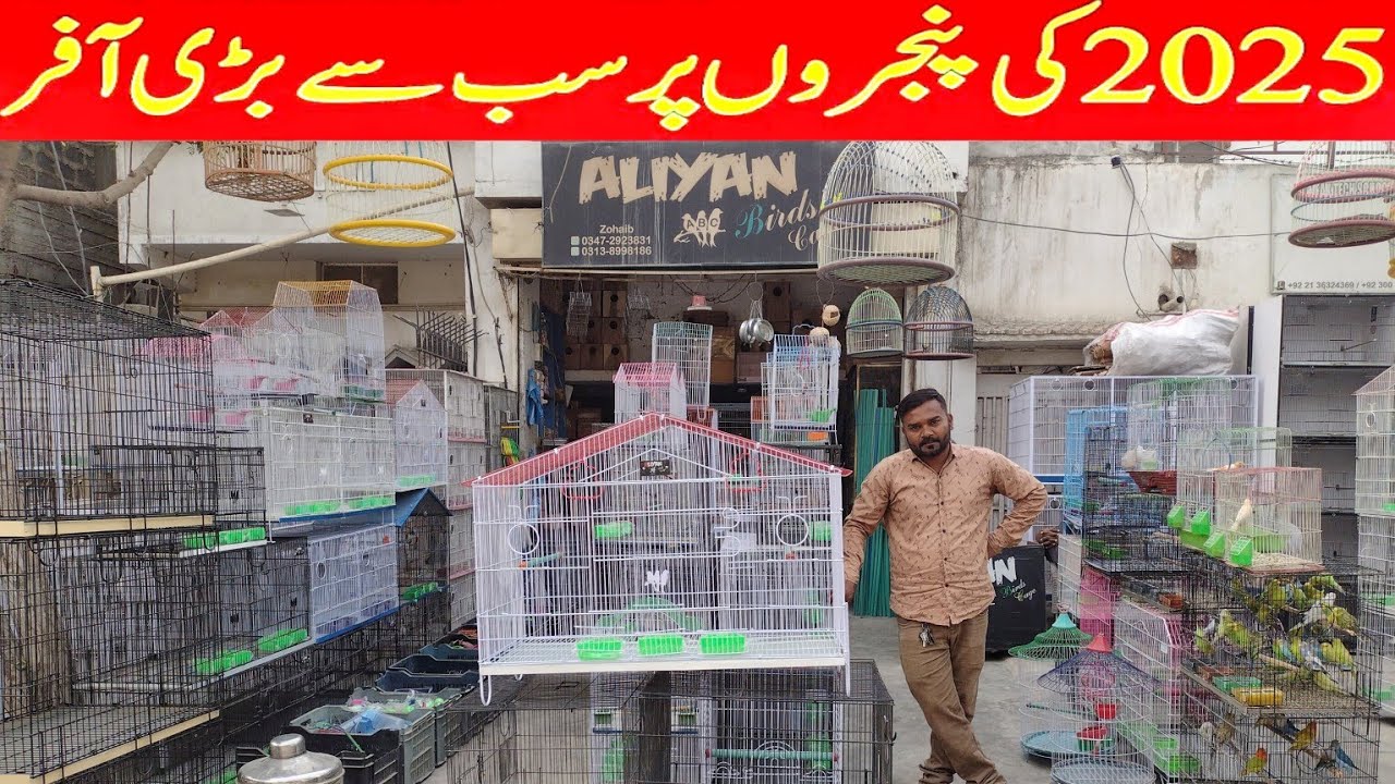Wholesaler Cage Shop in Karachi | New Cage Shop in Karachi | New Birds Cage's Price Update 2025