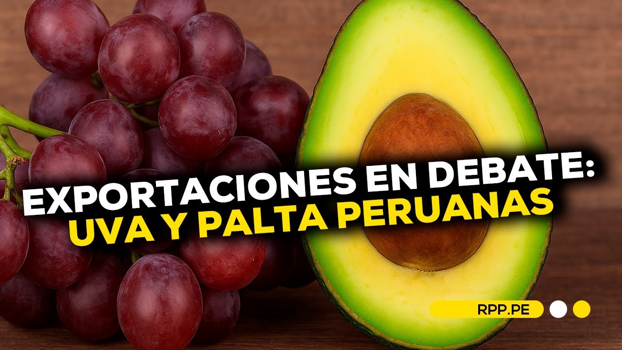 Agroexportación peruana: oportunidades y riesgos frente al mercado internacional #ECONOMIAXTODOS