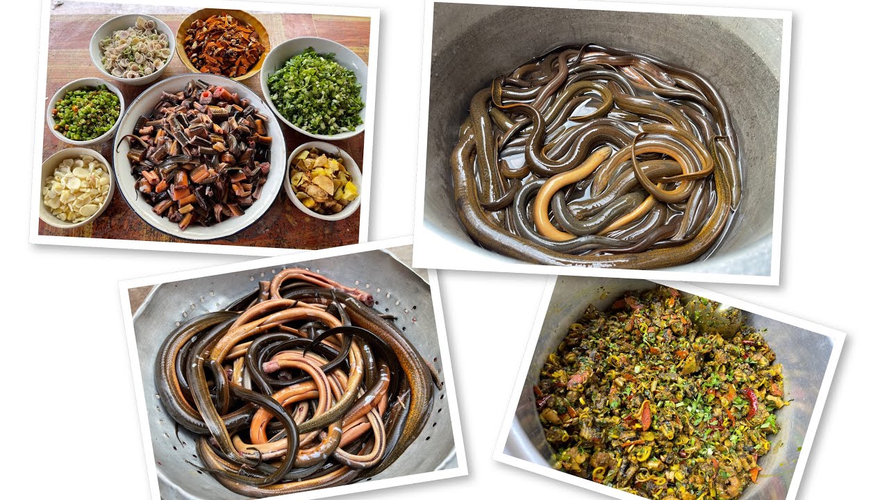 Stir Fried Spicy Eel  @wahkukitchen3936