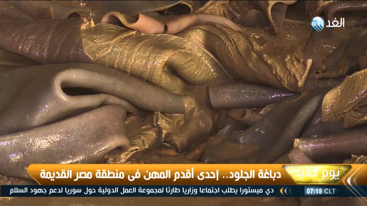 «دباغة الجلود».. إحدى أقدم المهن في مصر القديمة
