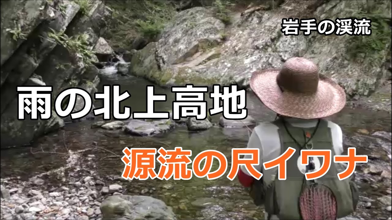 雨の北上高地 / 源流の尺イワナ31cm / 岩手の渓流 / みちのく釣りの旅  ﾌﾗｲﾌｨｯｼﾝｸﾞ渓流釣り(4K) fly fishing