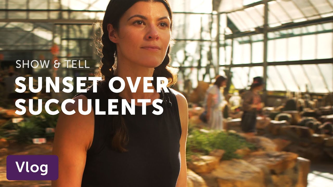 Cacti and Succulent Greenhouse at Queen Sirikit Botanic Garden — Vlog 026